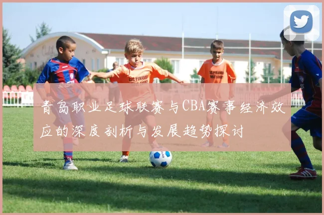 青岛职业足球联赛与CBA赛事经济效应的深度剖析与发展趋势探讨