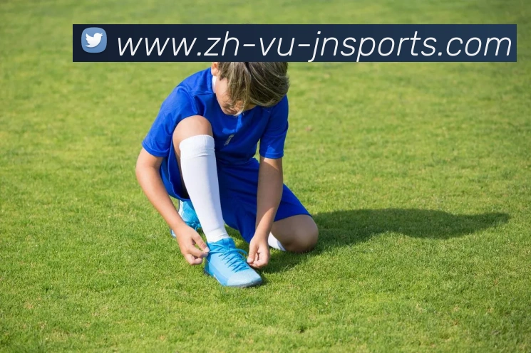 江南体育平台生态图